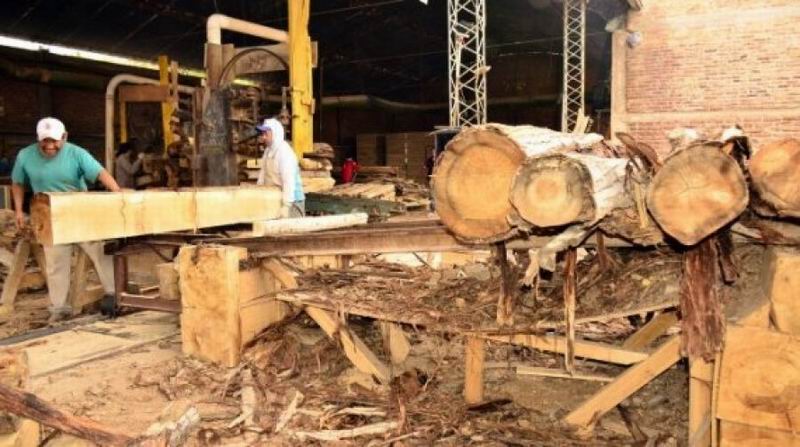 El mercado maderero continúa sin remontar y la preocupación sigue