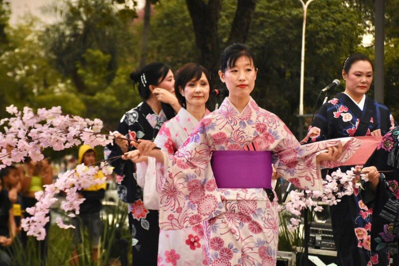Hanami Fest: la cultura japonesa compartirá su tradición y sabores