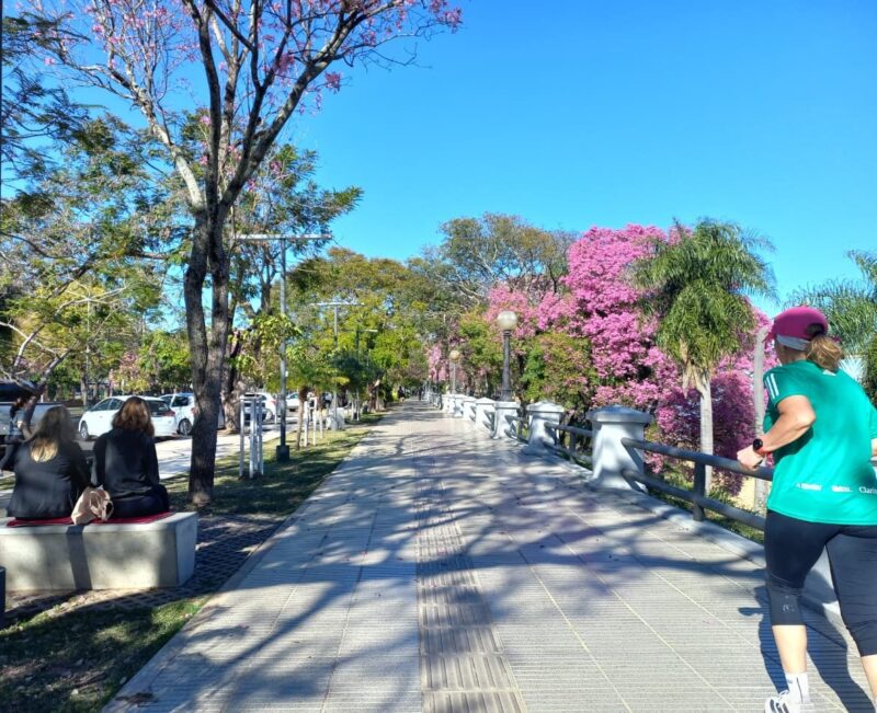 El tiempo en Corrientes: ¿llegará la tormenta de Santa Rosa?