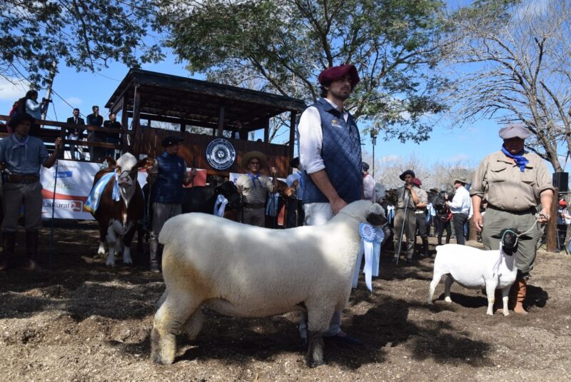 La Rural de Corrientes abre sus puertas con lo mejor de la ganadería