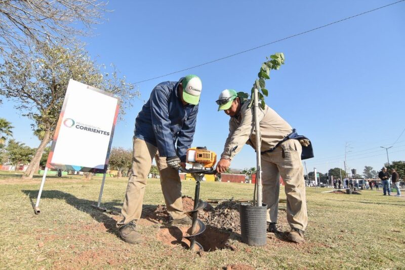 Con más de 15 mil árboles, Corrientes consolida su compromiso verde