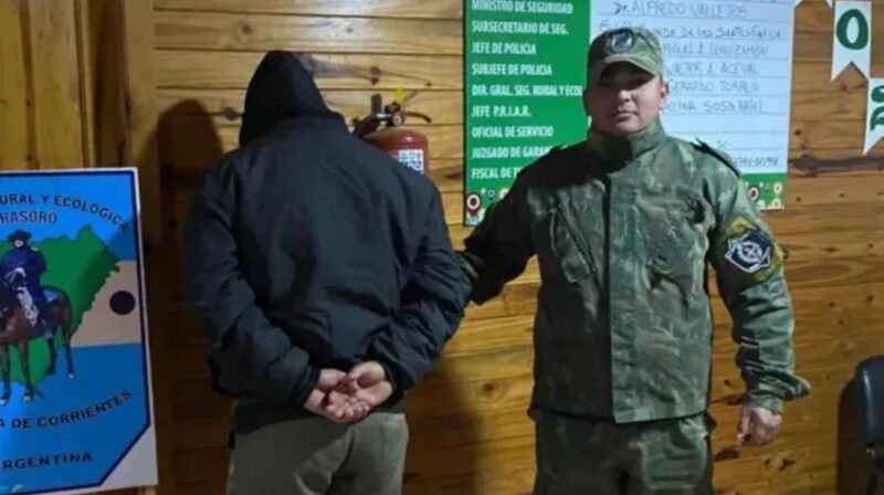 Detuvieron a un hombre por robar, faenar y vender carne de un caballo