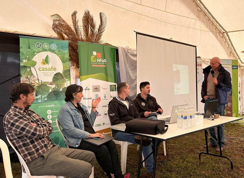 Virasoro: impulsan la combinación entre la forestación y la ganadería