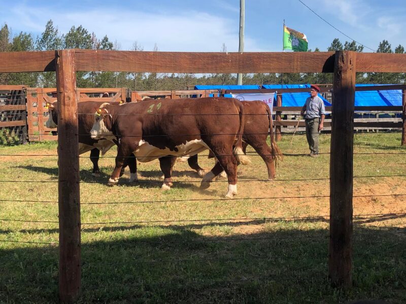 La Sociedad Rural de Paso de los Libres celebra 120 años de historia