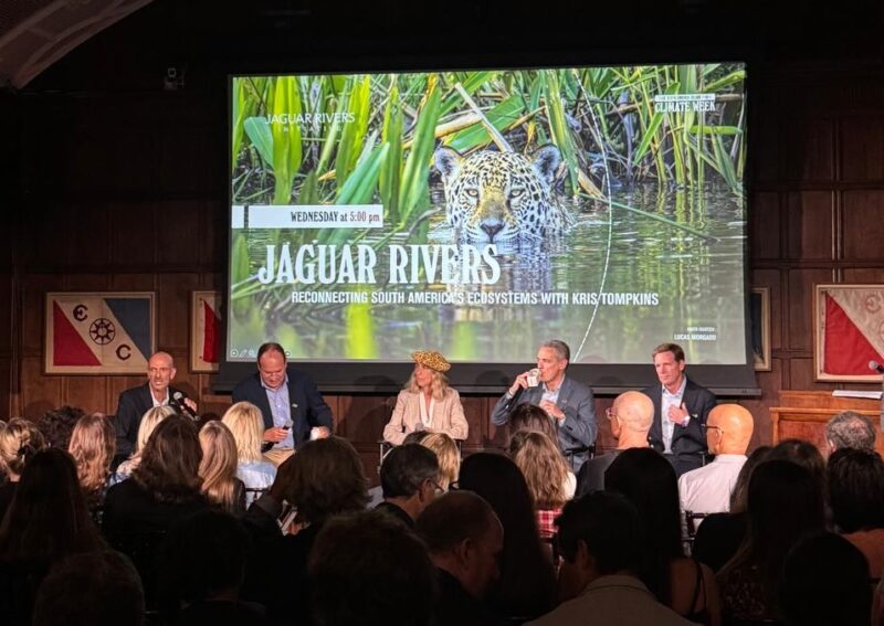 El río Paraná será el corazón de un corredor biológico inédito