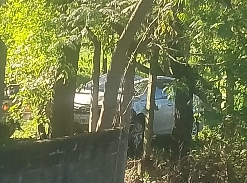 Ebrio perdió el control del volante y terminó con el auto dentro del Jardín Botánico