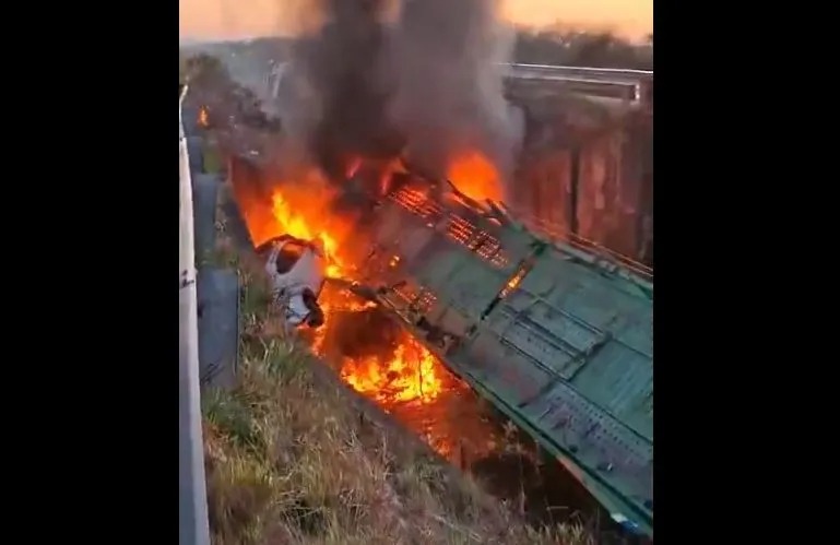 Un camión se prendió fuego tras grave siniestro en Ruta Nacional N° 14