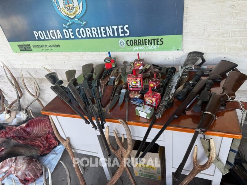 Golpe a la caza furtiva en Goya: hallan un verdadero arsenal para el delito ambiental