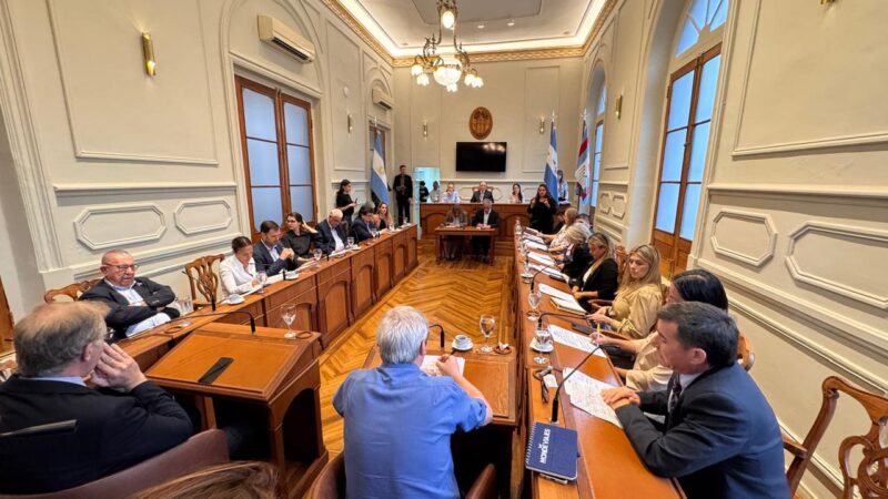 El Concejo respaldó la defensa de la universidad pública