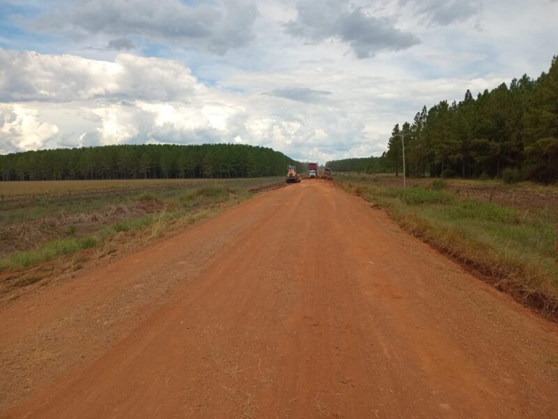 Fondos forestales se convierten en soporte clave para la producción y la vida rural