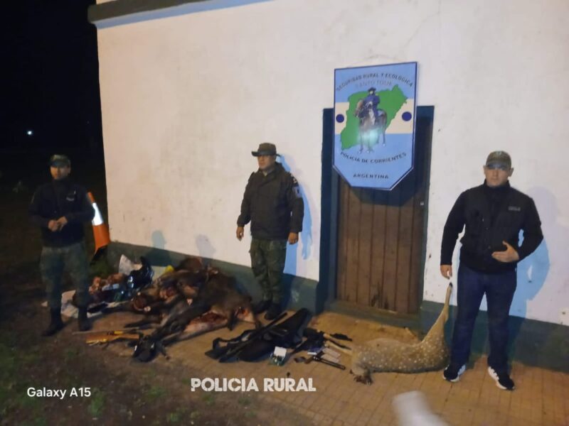 Detuvieron a diez cazadores furtivos con armas y animales faenados