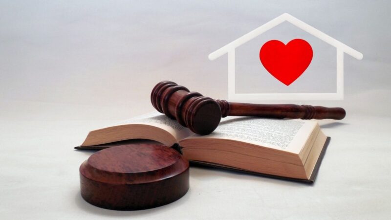 Optimizan el proceso de Convocatorias Públicas para la Adopción