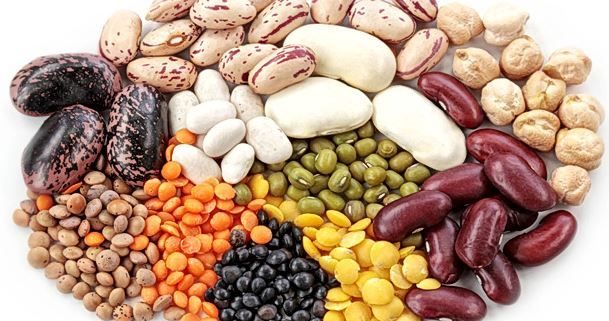 Urge colaborar en la construcción de un futuro sustentable y con seguridad alimentaria