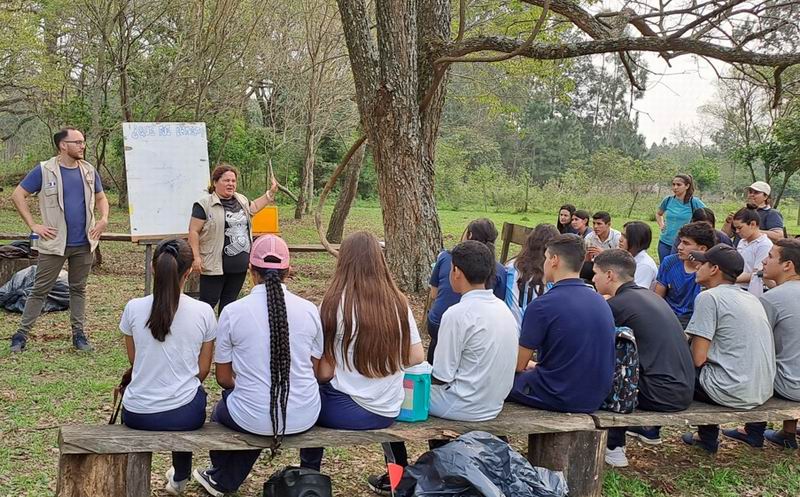 Sembrar futuro: el valor de los árboles