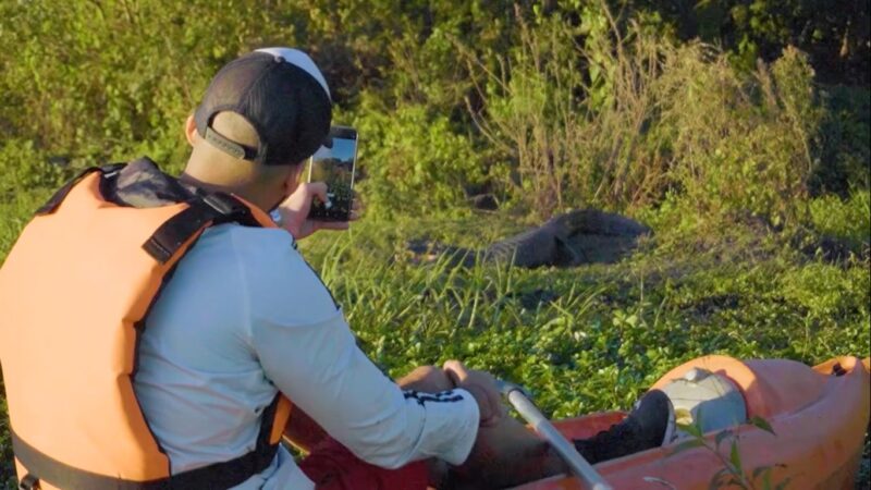 El corazón del Iberá brilla: Carlos Pellegrini, fue elegido como uno de los mejores pueblos turísticos del mundo