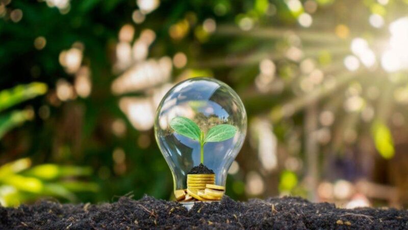 Día Mundial del Ahorro de Energía: La Dpec destaca la importancia de un consumo responsable