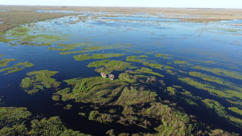 Los Esteros del Iberá, elegidos «Maravilla de América Latina 2025»