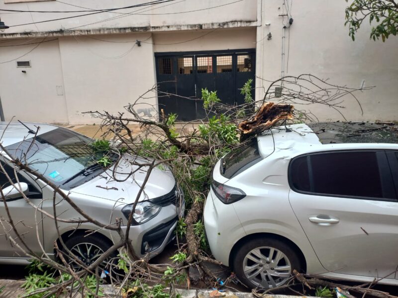 Lo que dejó a su paso la tormenta en Corrientes