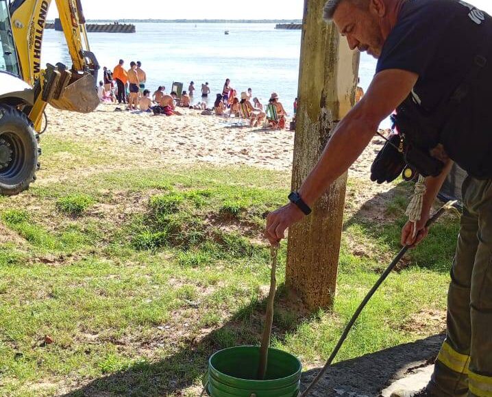 Una víbora interrumpió la tarde de playa en un balneario capitalino