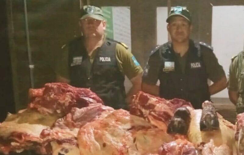 Desbarataron una faena clandestina en Lavalle con 200 kilos de carne