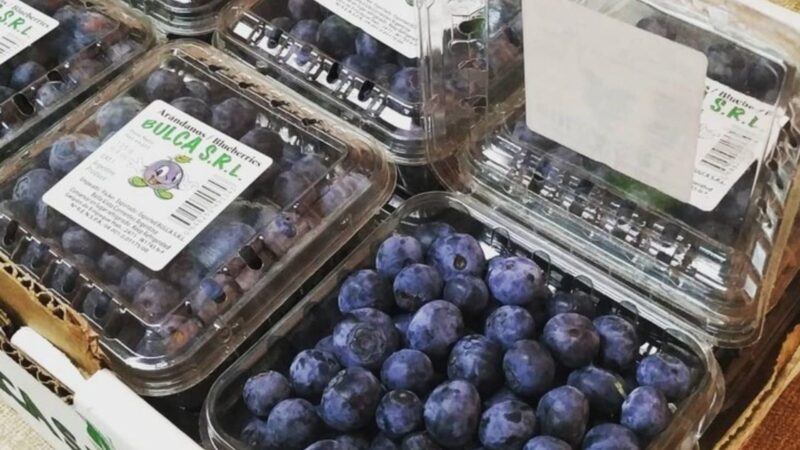 Estafa virtual: un Banco deberá indemnizar con una suma millonaria a una empresa correntina de arándanos