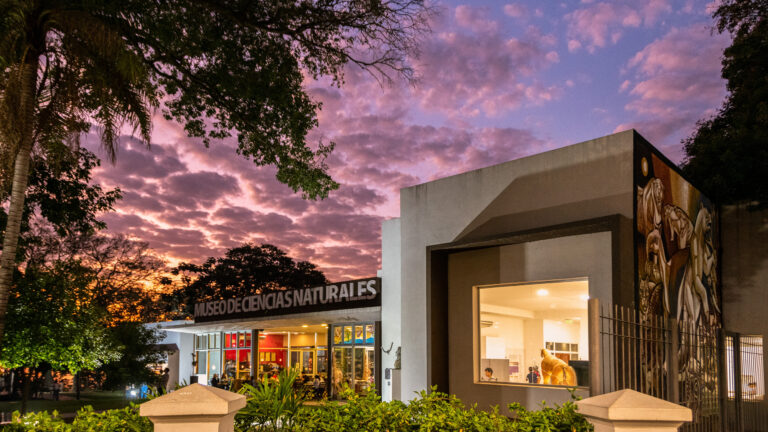 Coral Corrientes se une a la celebración por los 170 años del Museo de Ciencias Naturales