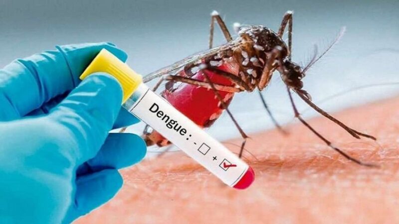 Se presenta hoy el Plan de Prevención y Control de Dengue 2025-2026