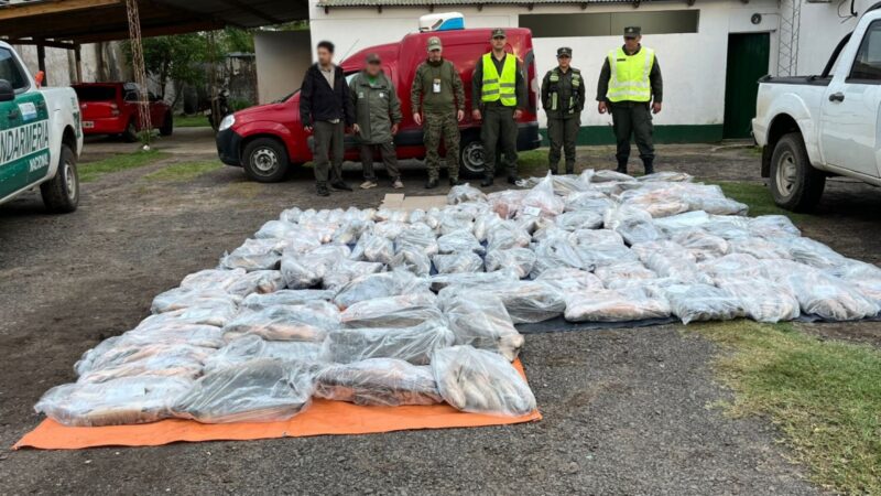 Gendarmería secuestró cerca de una tonelada de pescado ilegales