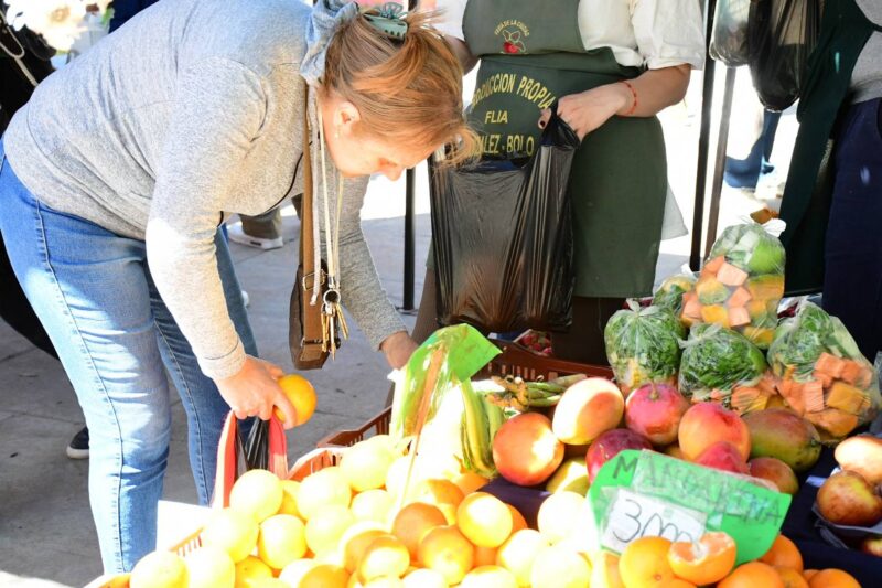 Las Ferias finalizan octubre con una agenda de recorridos