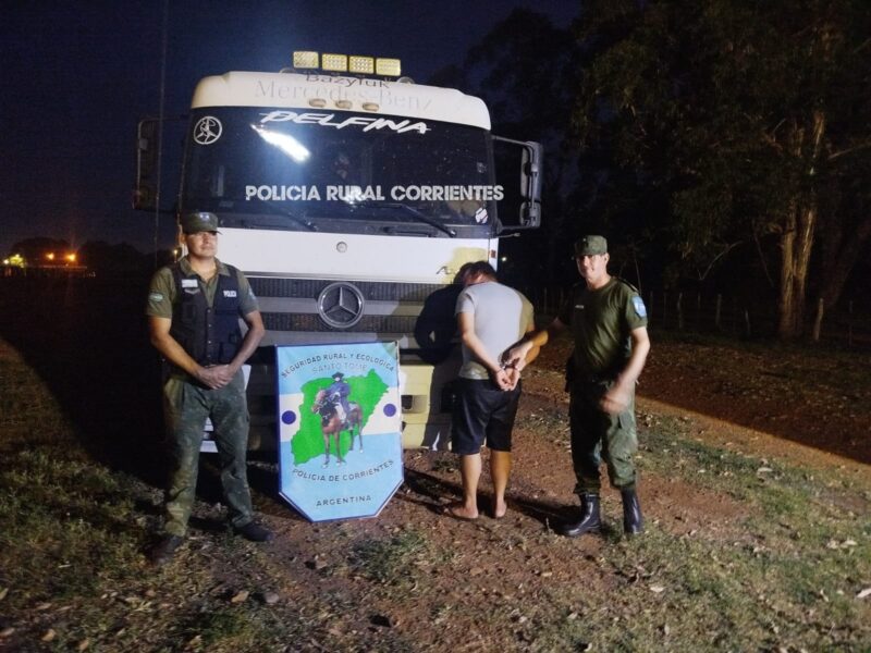 Santo Tomé: demoraron a un camionero por traslado irregular de ganado