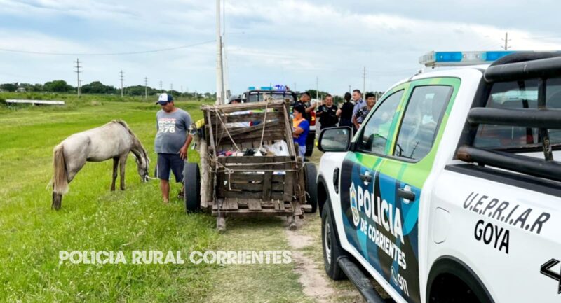 Rescataron a una yegua que tiraba carros llenos de gente en Goya