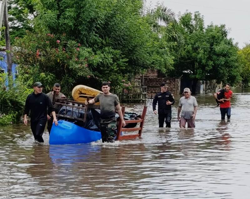 Lluvias torrenciales, inundaciones y el peligro de las alimañas: ¿Qué hacer?
