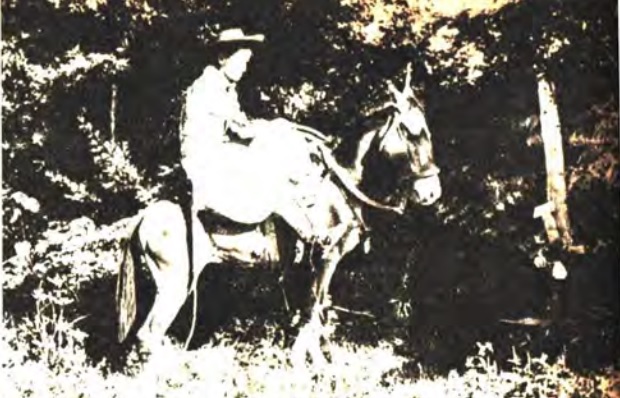 La Cruz de María: leyenda olvidada que fue un culto popular en Saladas