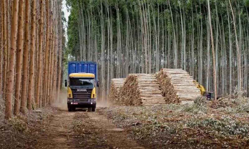 «Fue un año muy duro, con notoria caída en el consumo y la actividad»