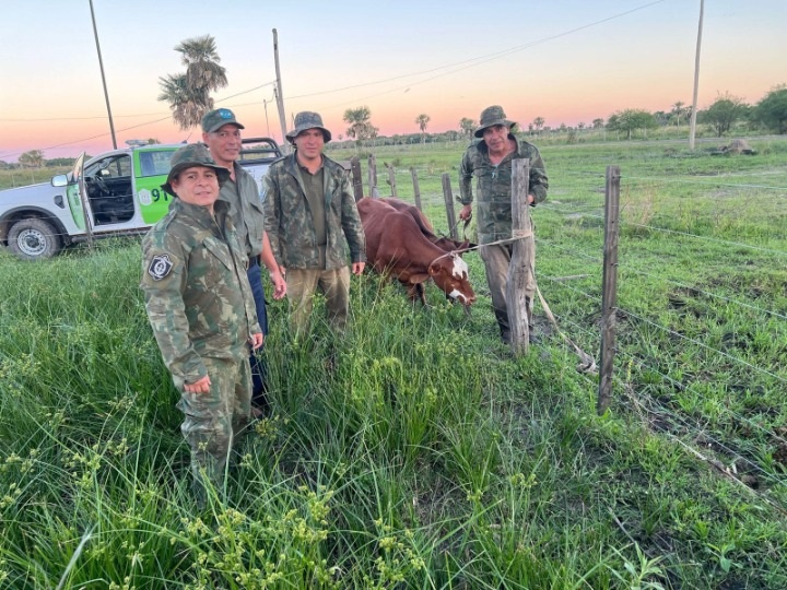 La Policía Rural refuerza operativos contra el abigeato y la faena ilegal