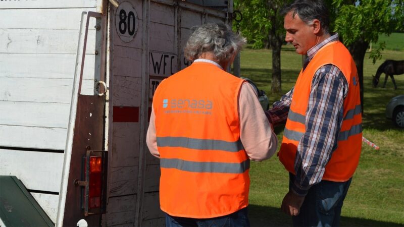 Evitan el comercio de 80 kilos de carne sin condiciones sanitarias