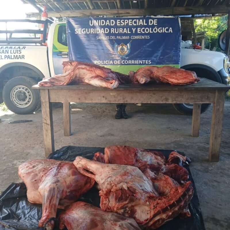 Evadió un control policial y lo interceptaron con animales faenados