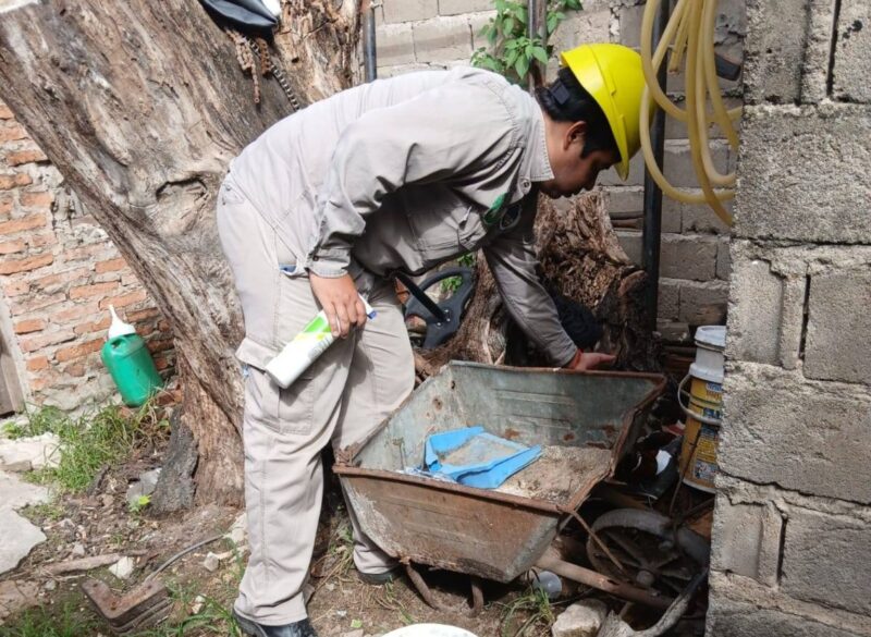 Corrientes refuerza la alerta sanitaria contra el dengue