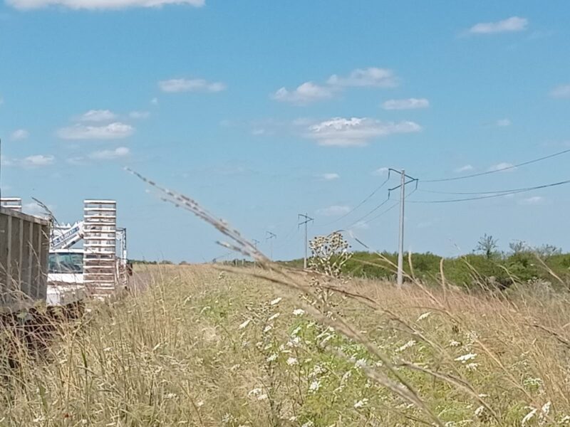 La Dpec finalizó la renovación de la línea Curuzú Cuatiá – Sauce