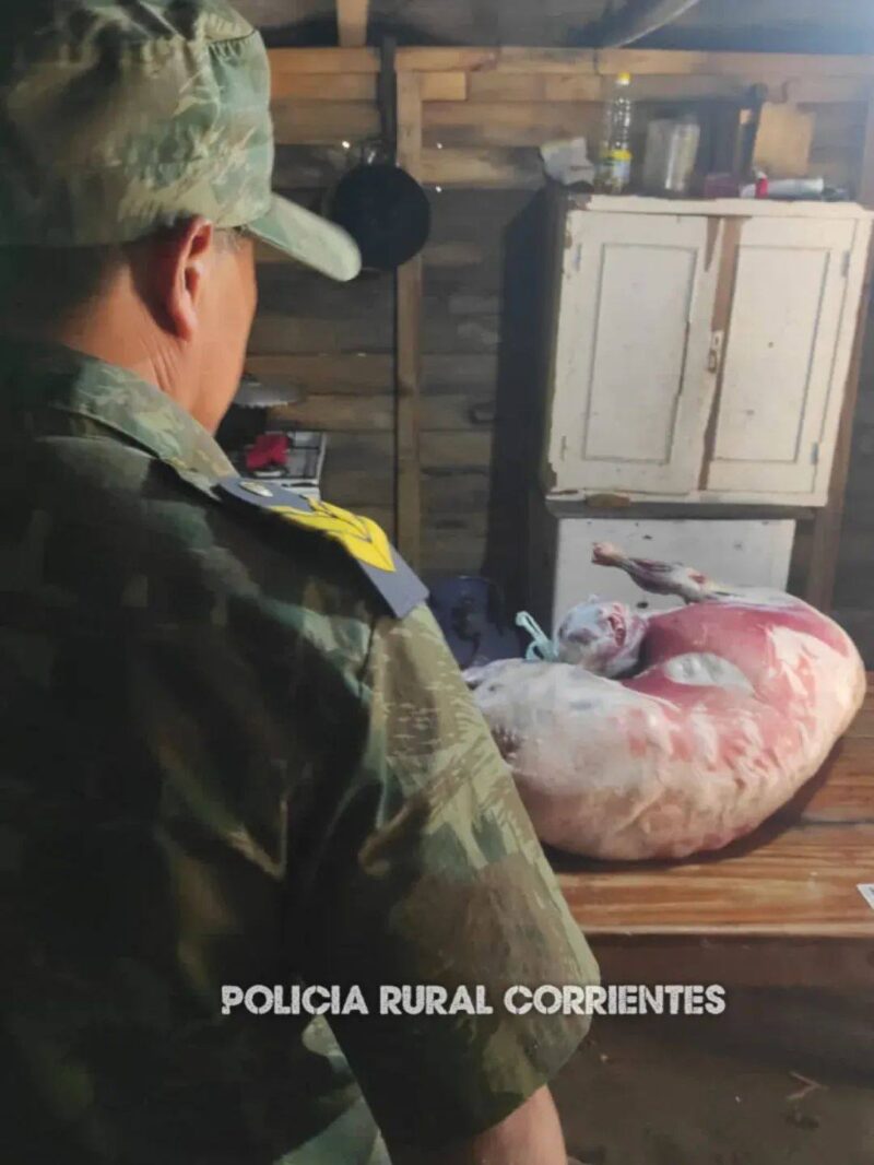 Esquina: faenó a la mascota de su vecina