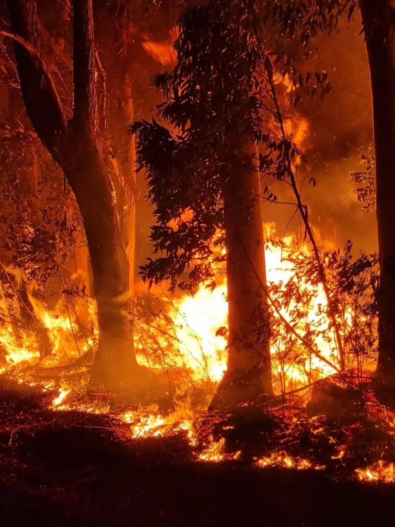 Madrugada de fuego: 16 hectáreas afectadas en Mocoretá