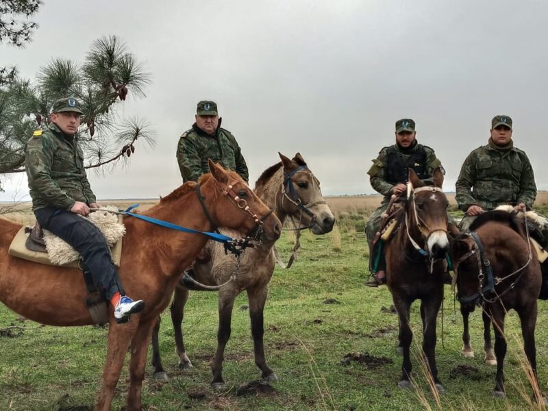 Último momento: solo autorizaron dos de cinco allanamientos en una causa por delitos rurales