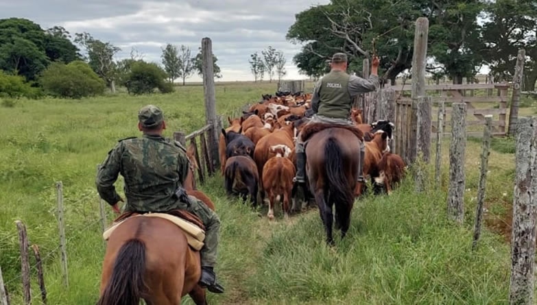 Indignado mensaje de una productora vinculada a la Sociedad Rural de Paso de los Libres