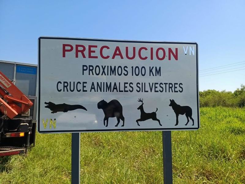 Rutas seguras: instalan señalética para frenar el atropellamiento de la fauna