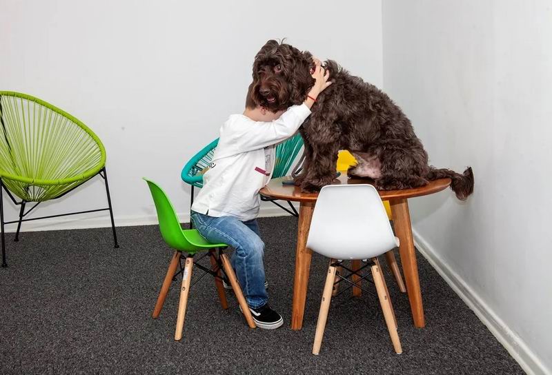 Proponen incorporar perros para asistir a niños en estrados judiciales