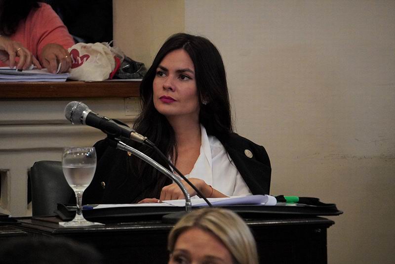 Proponen crear un programa de representación cultural del carnaval