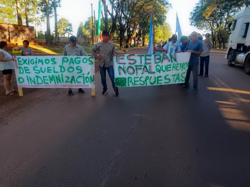 Forestal Tapebicuá: quieren formar una cooperativa para reactivarla