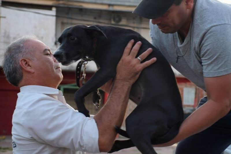 Abuso a una perra, la viralización, el archivo y la indignación social