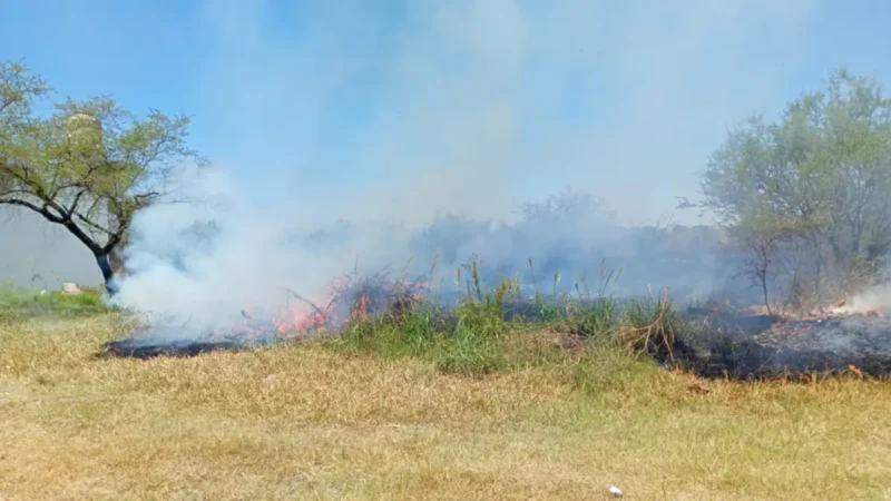 Demoraron a dos jóvenes por quema de pastizales en Corrientes