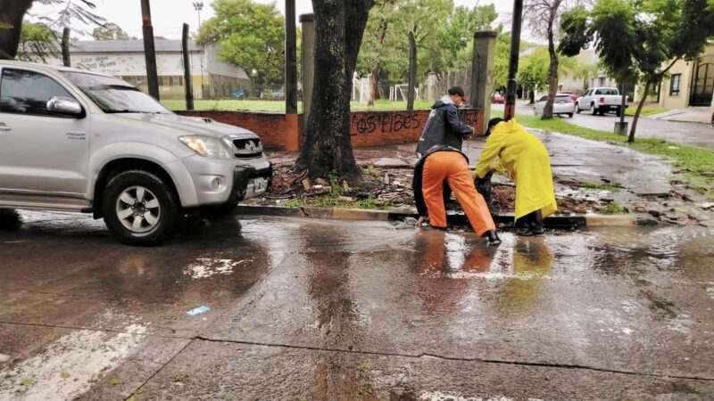 Las cuadrillas municipales realizan operativos de limpieza tras los 66 milímetros de lluvia caída